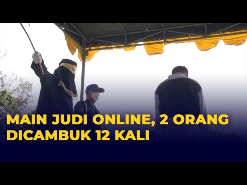 judi domino online